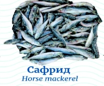 Морски риболов Сафрид /замразен/ ~ 1 кг/пакет