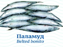 Морски риболов Паламуд котлет ~1 кг/пакет